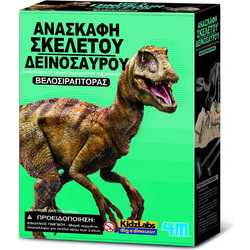 4M KidzLabs Ανασκαφή Σκελετού Δεινοσαύρου Βελοσιράπτορας