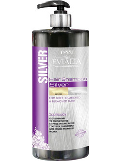 Yanni Extensions Silver Σαμπουάν για Προστασία Χρώματος για Βαμμένα Μαλλιά 1lt