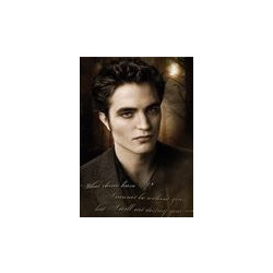 POSTER NEW MOON