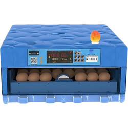 XWA-64 ΚΛΩΣΣΟΜΗΧΑΝΗ ΑΣΤΑΚΟΣ 64 ΑΥΓΩΝ (ΜΠΛΕ) ΠΛΗΡΩΣ ΑΥΤΟΜΑΤΗ ΜΕ ΣΥΣΤΗΜΑ ΑΤΜΟΠΟΙΗΣΗΣ Κωδικός: 36935399