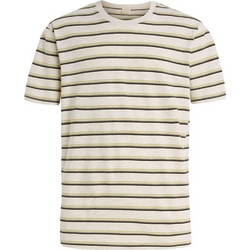Protest PRTPEMBRO Men΄s T-shirt - Cotton /Polyester - Loose fit - Kitoff white
