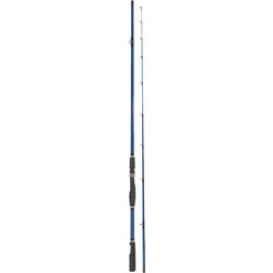 Robinson Magnetic Καλάμι Ψαρέματος για Spinning Δίσπαστο 2.7m 8-40gr