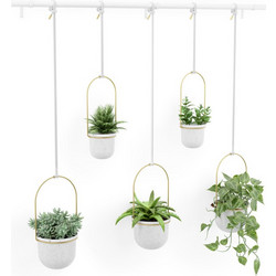 Umbra Κρεμαστό Κασπώ Λευκό/Χρυσό Σετ 5 Τμχ Triflora 137x18x94