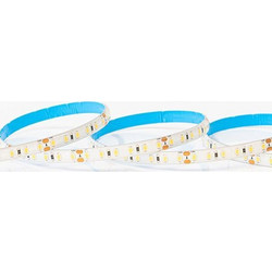 ΤΑΙΝΙΑ LED 5M 12W 12V 6500K 120L/M IP54 PRO