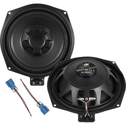 ESX SXB 8W Subwoofer Αυτοκινήτου 8" 100W RMS