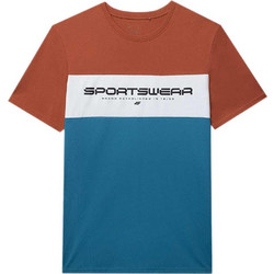4F Ανδρικό Αθλητικό T-Shirt Πολύχρωμο 4FWSS24TTSHM1326-81S