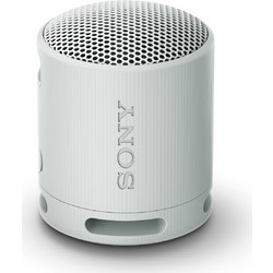 Sony SRS-XB100H Αδιάβροχο Ηχείο Bluetooth με Ραδιόφωνο Γκρι