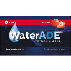 Strawberry Βιταμινούχο Στιγμιαίο Ρόφημα Σε Σκόνη 10gr