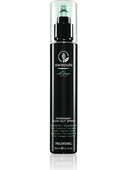 Paul Mitchell Awapuhi Wild Ginger HydroMist Blow-Out Σπρέι Μαλλιών για Κράτημα 150ml