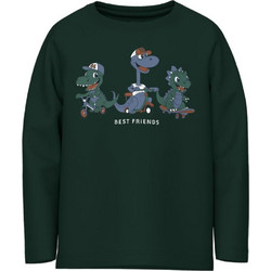 Name It Παιδικό T-Shirt Μακρυμάνικο Κυπαρισσί 13224978