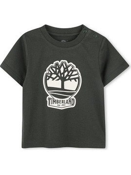 Timberland - Timberland Short Sleeves Tee-Shirt Green Kid (T60506)