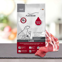 Platinum Adult with Lamb & Rice 5kg