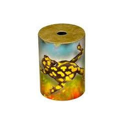 REMO Corroboree 3" x 2 1/4" Shaker