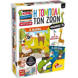 Real Fun Toys Montessori Τόμπολα Ψηλάφισέ Το