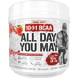 Rich Piana All Day You May 10:1:1 BCAA Watermelon 435gr