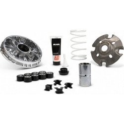 ΒΑΡΙΑΤΟΡ MALOSSI MULTIVAR 2000 ZONTES 350/368 25- - MALOSSI