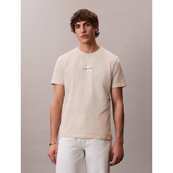 ΑΝΔΡΙΚΗ ΜΠΛΟΥΖΑ SS 30S MICRO MONOLOGO GRAPHIC CALVIN KLEIN LV04RB866G-2JX