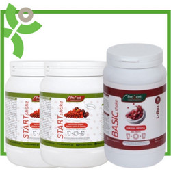 Prevent 2x Prevent Start Shake Υποκατάστατο Γεύματος με Γεύση Κόκκινα Φρούτα, 2x430gr & Basic Shake L-Box Red Fruits Υποκατάστατο Γεύματος για Έλεγχο του Σωματικού Βάρους με Κόκκινα Φρούτα, 581gr (2x
