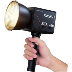 LED Light 80W