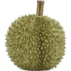Eξωτικό Φρούτο Durian Πράσινο 19.5 εκ. Ζaros Tm428