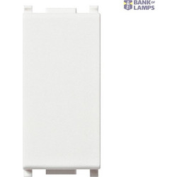 Blank module white