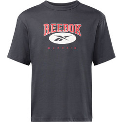 Reebok Ανδρικό Αθλητικό T-Shirt Ανθρακί IL8793