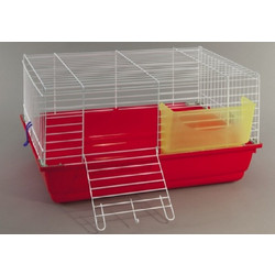 Domus Molinari Cavia 3 Bianca Κλουβί για Κουνέλια 60x40x34cm