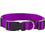 Pet Interest Plain Line Κολάρο Σκύλου Μωβ 2x32-50cm
