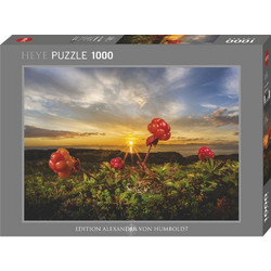 Puzzle Heye Puzzle Cloudberries Avh 1000 Κομμάτια