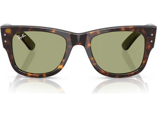 Ray-Ban RB0840S 902/4E Γυναικεία Γυαλιά Ηλίου Πεταλούδα Κοκάλινα Ταρταρούγα με Πράσινο Φακό