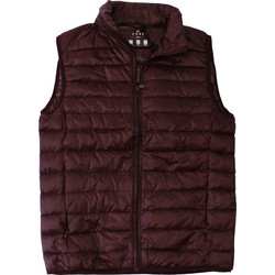 Dors Αμάνικο Ανδρικό Μπουφάν Puffer Μπορντό 3029005.C02