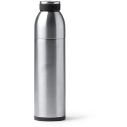 Roly Bolt Silver 650ml