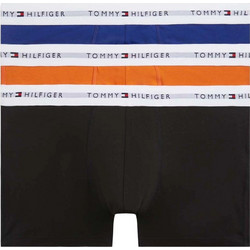 Tommy Hilfiger Ανδρικά Μποξεράκια Σετ 3Pack UM0UM03889-0YZ