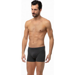 Minerva Ανδρικά Μποξεράκια Σετ 3Pack Ανθρακί 90-23026