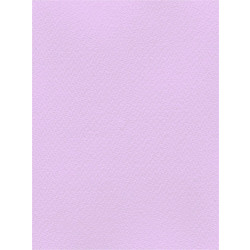 Favini Χαρτόνι Κανσόν Λιλά 70x100cm 831.70100.24T