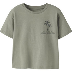 Name It Παιδικό T-Shirt Κοντομάνικο Πράσινο Mint 13254710