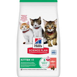 Hill's Science Plan Kitten with Salmon 7kg
