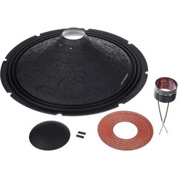 Electro-Voice Recone 18"