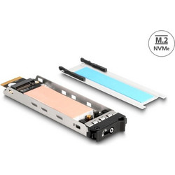 DeLOCK 47028 Removable Drive Frame Insert M.2 NVMe