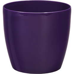 Plastona Roto Brill Κασπώ Δαπέδου Πλαστικό Μωβ 22x20cm 10.06.0603