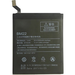 BM22 (Mi 5)