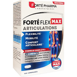 Forte Pharma Forte Flex Max 120 Κάψουλες