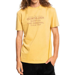 Quiksilver M Feeding Line SS (EQYZT06659-YHP0)