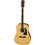 Aria AWN-15 Natural