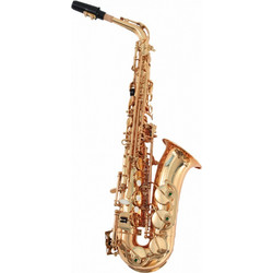 SOUNDSATION SALSX-20 Alto Eb +amp Case Σαξόφωνο