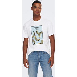 Ανδρικό t-shirt ONSPARKER REG FRUIT SS TEE 22025265