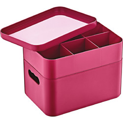 Herzberg HG-OKY676: 2 Layer Multipurpose Organizer Box Pink Herzberg Home & Living