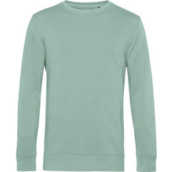 B&C Collection Ανδρικό Φούτερ WU31B Sage