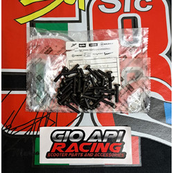 Βίδα Κοντέρ Σταύρος Για Piaggio/Gilera/Vespa 50-125-150-180-200cc Καινούργια Γνήσια