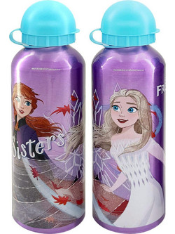 Creative Concepts Disney Frozen II Anna & Elsa Παιδικό Μπουκάλι Αλουμινίου BPA Free Πολύχρωμο 500ml